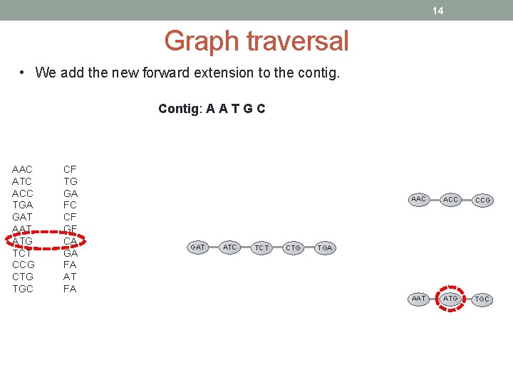 14 Graph traversal • We add the new forward extension to the contig. Contig: