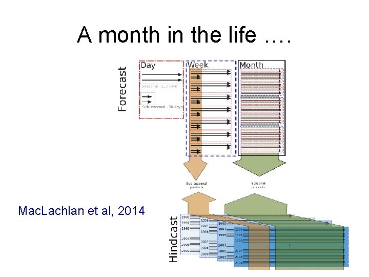 A month in the life …. Mac. Lachlan et al, 2014 A month in the life …. Mac. Lachlan et al, 2014