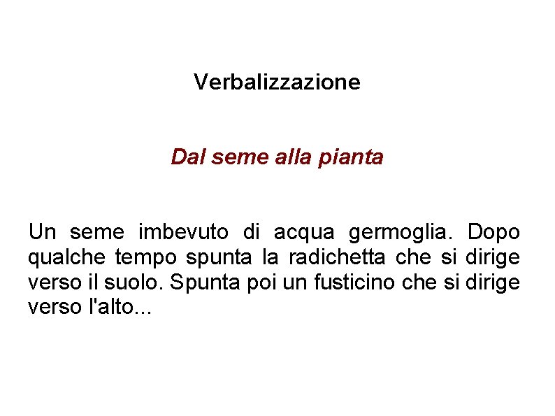 Verbalizzazione Dal seme alla pianta Un seme imbevuto di acqua germoglia. Dopo qualche tempo Verbalizzazione Dal seme alla pianta Un seme imbevuto di acqua germoglia. Dopo qualche tempo