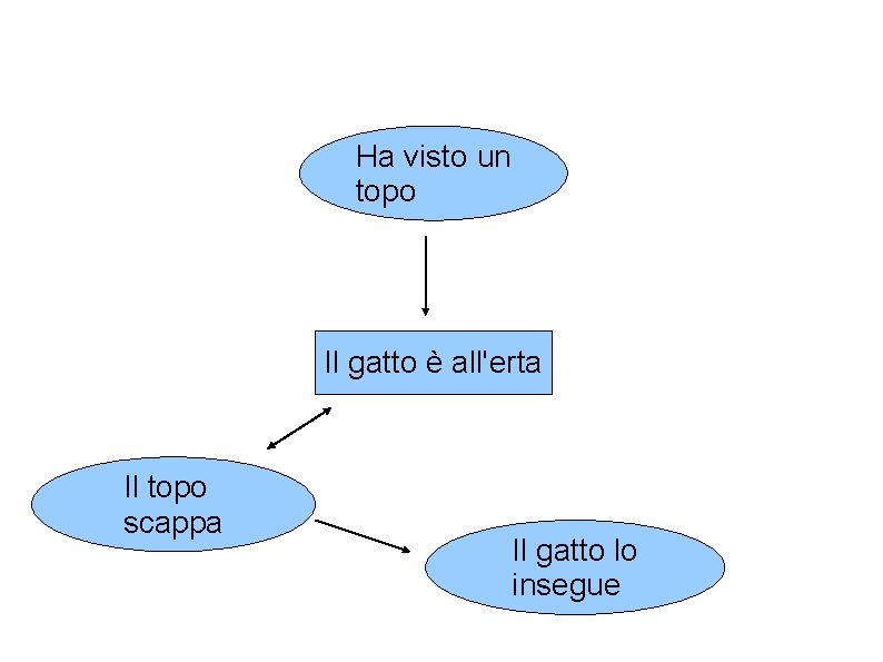 Ha visto un topo Il gatto è all'erta Il topo scappa Il gatto lo Ha visto un topo Il gatto è all'erta Il topo scappa Il gatto lo