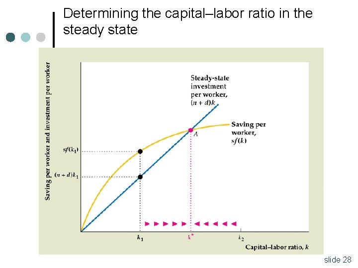 Determining the capital–labor ratio in the steady state 28 slide 28 