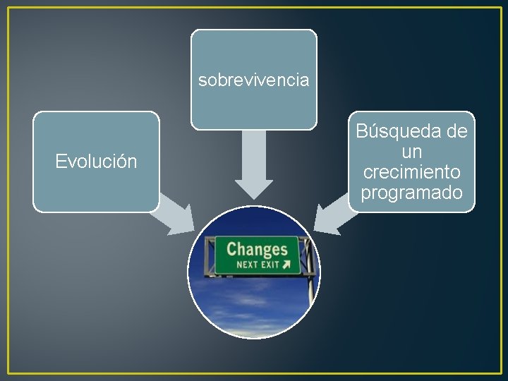 sobrevivencia Evolución Búsqueda de un crecimiento programado 