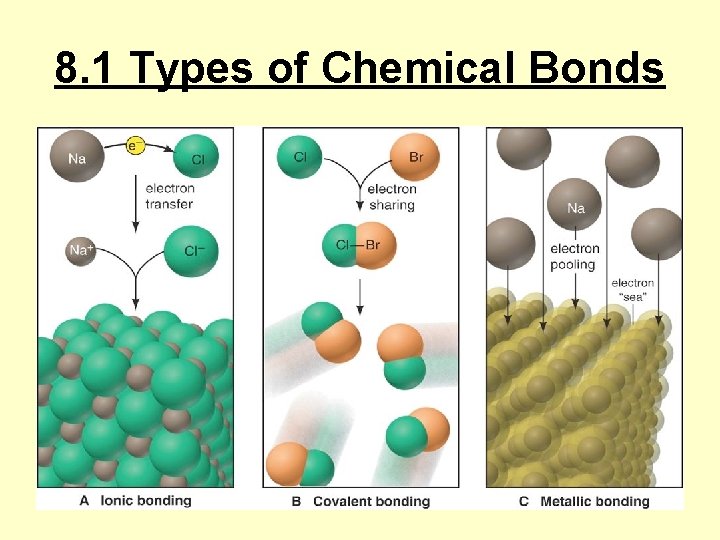 8. 1 Types of Chemical Bonds 