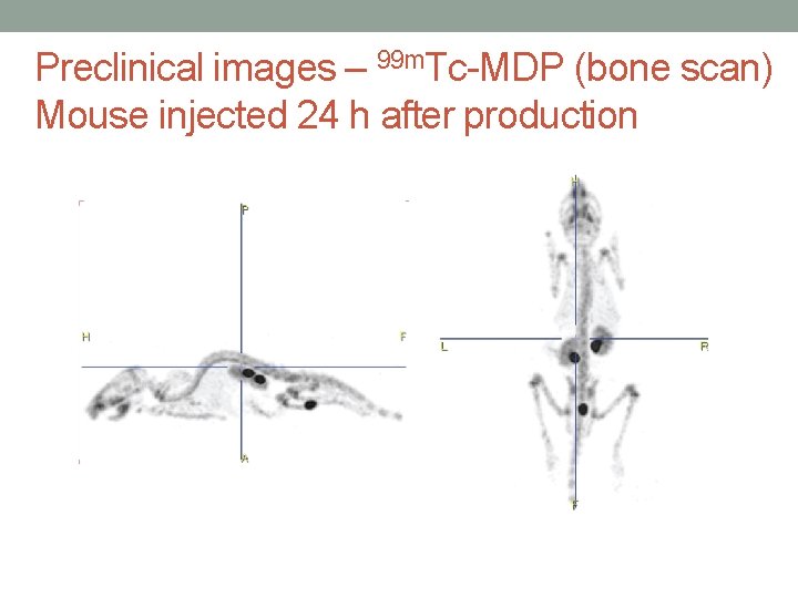 Preclinical images – 99 m. Tc-MDP (bone scan) Mouse injected 24 h after production