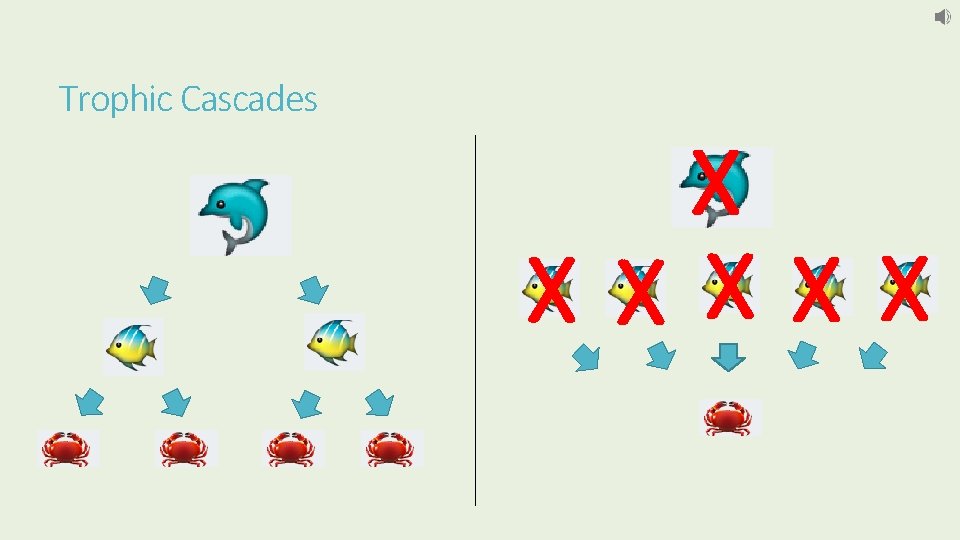 Trophic Cascades X XX X 