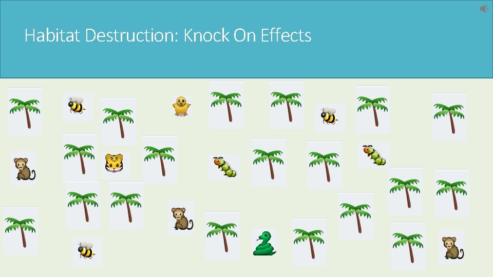 Habitat Destruction: Knock On Effects 