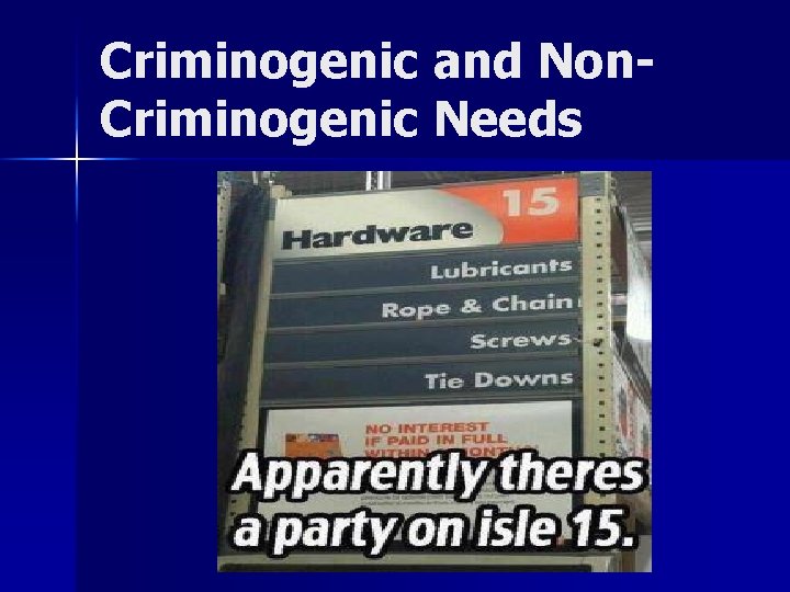 Criminogenic and Non. Criminogenic Needs 