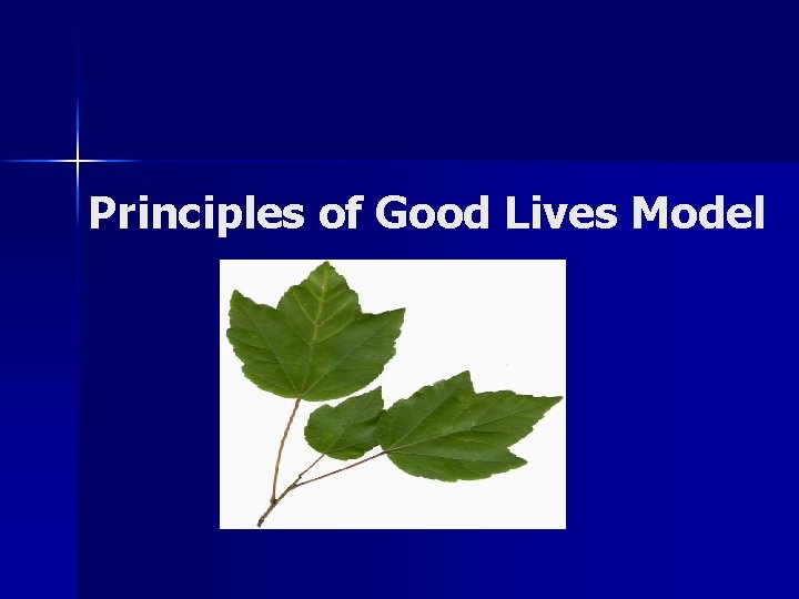 Principles of Good Lives Model 