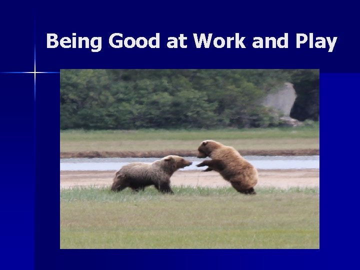 Being Good at Work and Play 