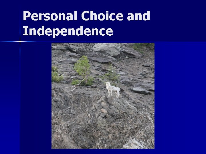 Personal Choice and Independence 