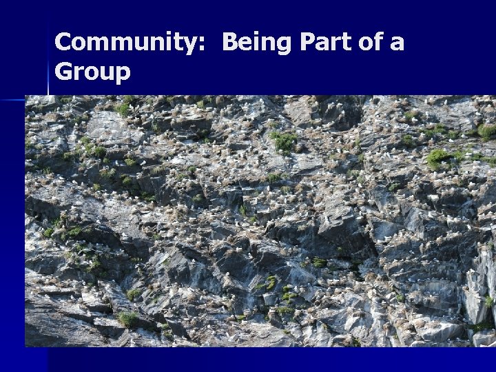 Community: Being Part of a Group 