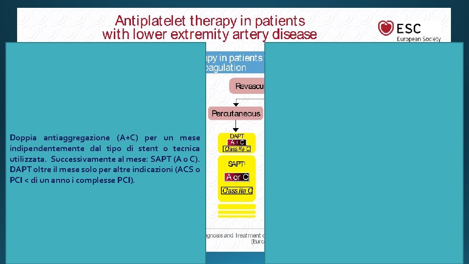 Doppia antiaggregazione (A+C) per un mese indipendentemente dal tipo di stent o tecnica utilizzata.