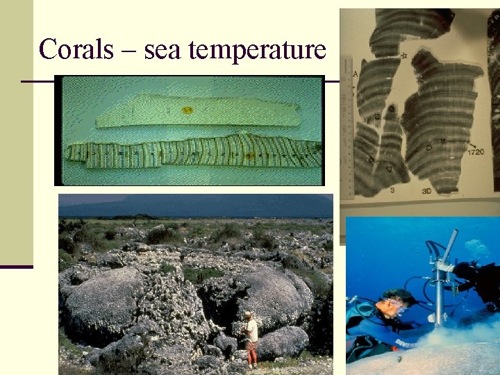 Corals – sea temperature 