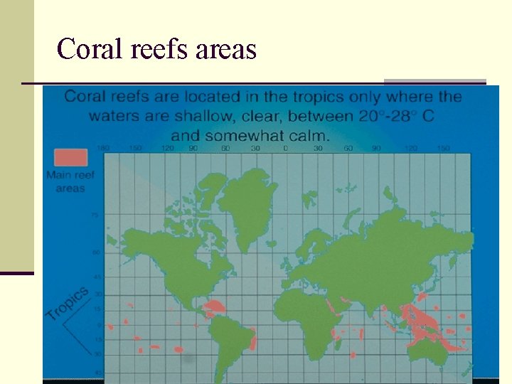 Coral reefs areas 