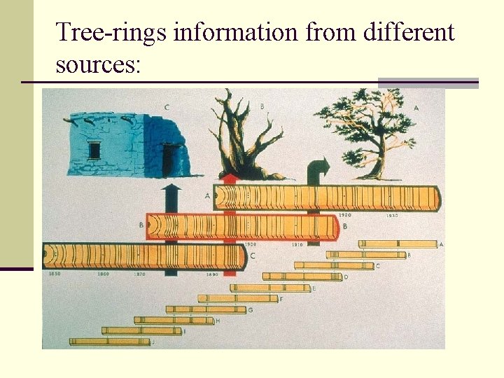 Tree-rings information from different sources: 