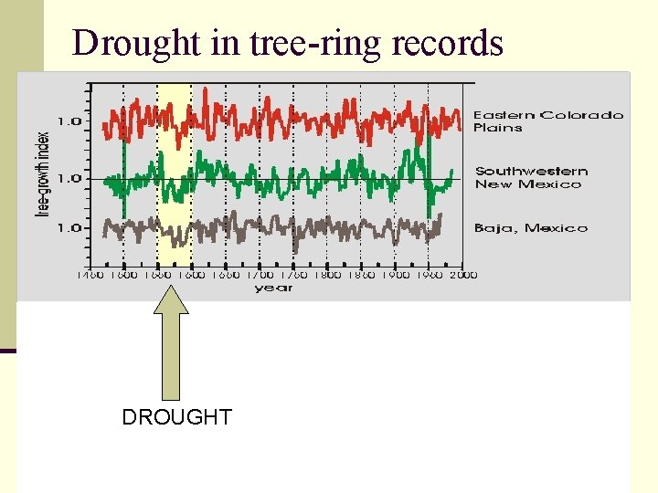 Drought in tree-ring records DROUGHT 