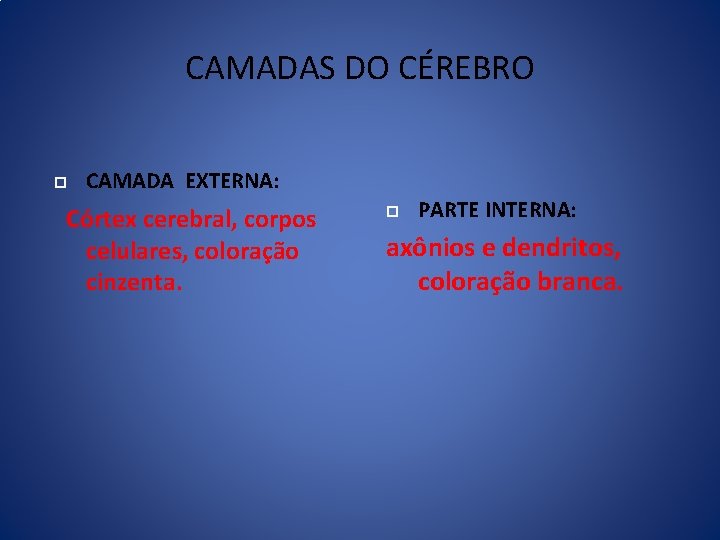 CAMADAS DO CÉREBRO CAMADA EXTERNA: Córtex cerebral, corpos celulares, coloração cinzenta. PARTE INTERNA: axônios