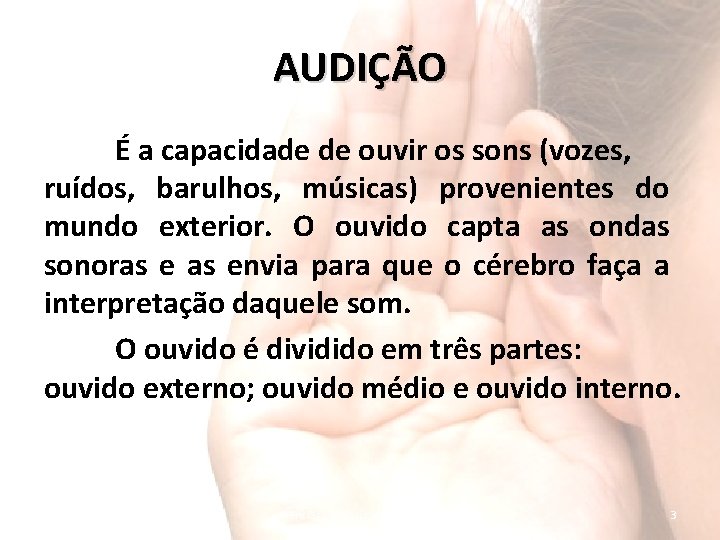 AUDIÇÃO É a capacidade de ouvir os sons (vozes, ruídos, barulhos, músicas) provenientes do