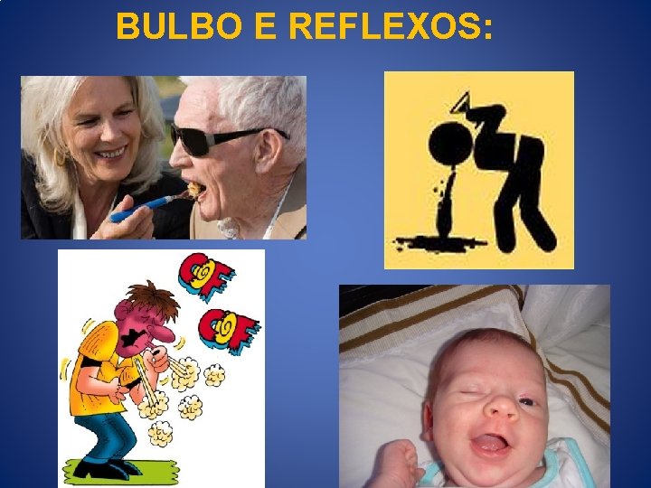 BULBO E REFLEXOS: 
