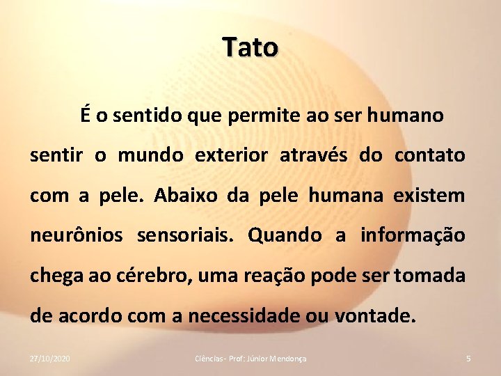 Tato É o sentido que permite ao ser humano sentir o mundo exterior através