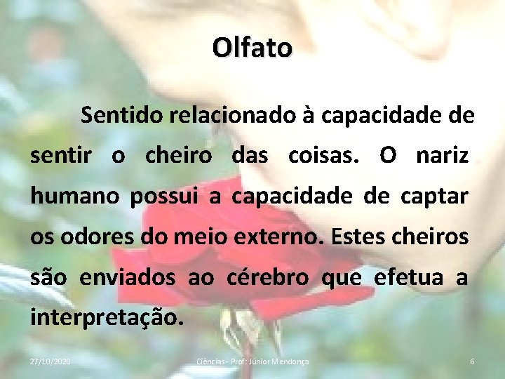 Olfato Sentido relacionado à capacidade de sentir o cheiro das coisas. O nariz humano