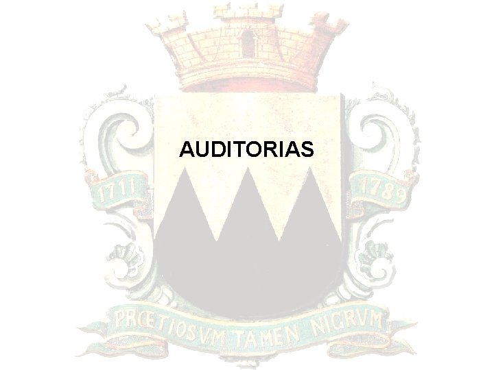 AUDITORIAS 