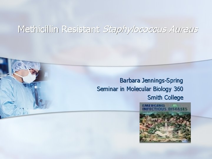 Methicillin Resistant Staphylococcus Aureus Barbara Jennings-Spring Seminar in Molecular Biology 360 Smith College 