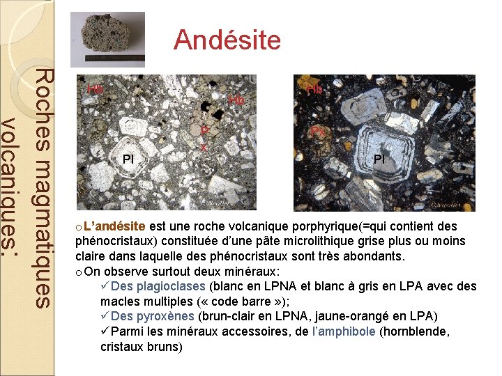 Andésite Roches magmatiques volcaniques: Hb Hb Pl P x Hb Px Pl o. L’andésite