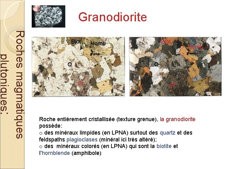 Granodiorite Roches magmatiques plutoniques: Biot Q Biot Hornb Q Pl Pl Roche entièrement cristallisée