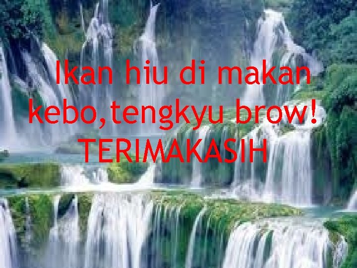 Ikan hiu di makan kebo, tengkyu brow! TERIMAKASIH 