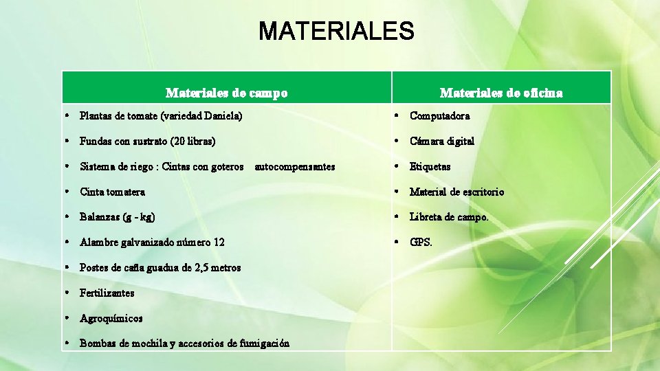 MATERIALES Materiales de campo Materiales de oficina • Plantas de tomate (variedad Daniela) •