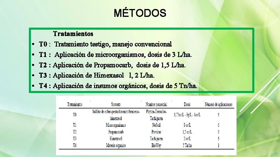 MÉTODOS • • • Tratamientos T 0 : Tratamiento testigo, manejo convencional T 1