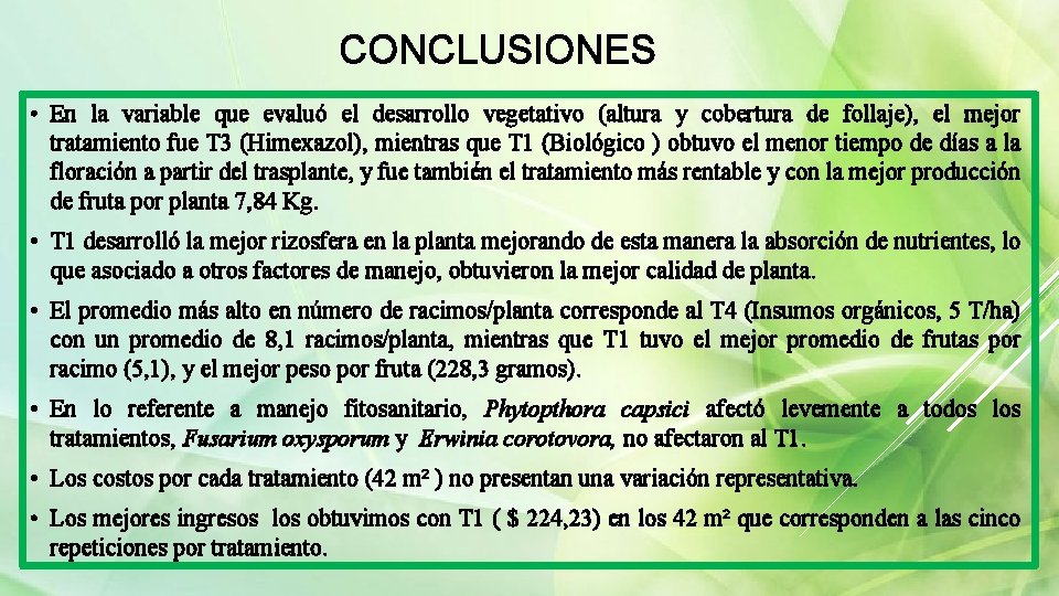 CONCLUSIONES • En la variable que evaluó el desarrollo vegetativo (altura y cobertura de