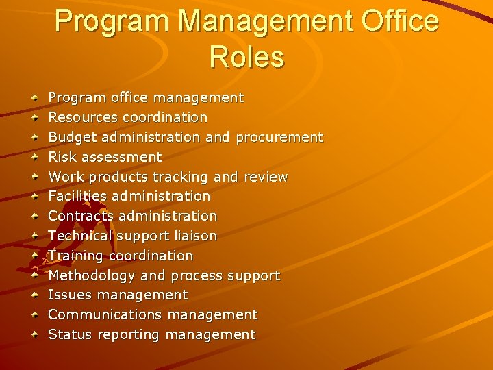 Program Management Office Roles Program office management Resources coordination Budget administration and procurement Risk