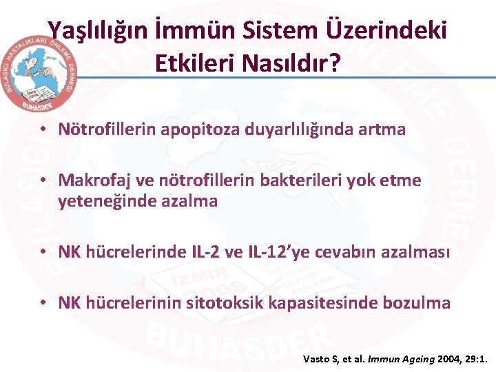 Yaşlılığın İmmün Sistem Üzerindeki Etkileri Nasıldır? • Nötrofillerin apopitoza duyarlılığında artma • Makrofaj ve