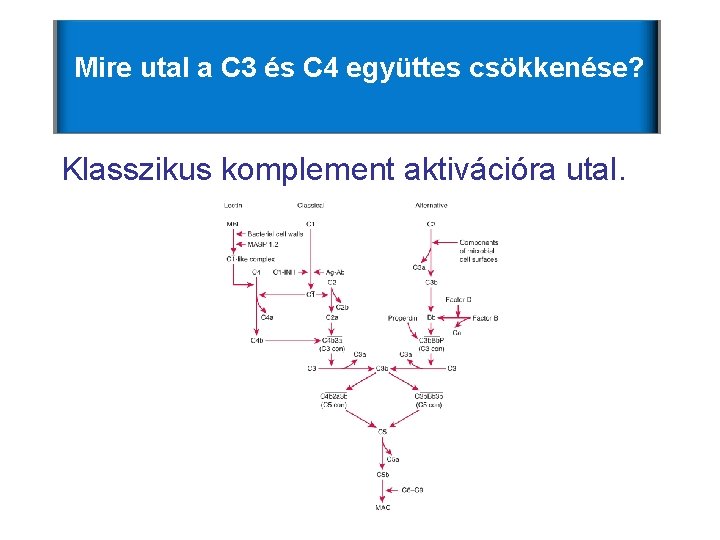 Mire utal a C 3 és C 4 együttes csökkenése? Klasszikus komplement aktivációra utal. Mire utal a C 3 és C 4 együttes csökkenése? Klasszikus komplement aktivációra utal.