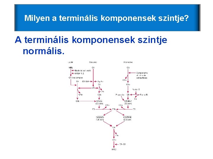 Milyen a terminális komponensek szintje? A terminális komponensek szintje normális. Milyen a terminális komponensek szintje? A terminális komponensek szintje normális.