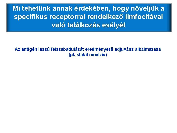 Mi tehetünk annak érdekében, hogy növeljük a specifikus receptorral rendelkező limfocitával való találkozás esélyét Mi tehetünk annak érdekében, hogy növeljük a specifikus receptorral rendelkező limfocitával való találkozás esélyét