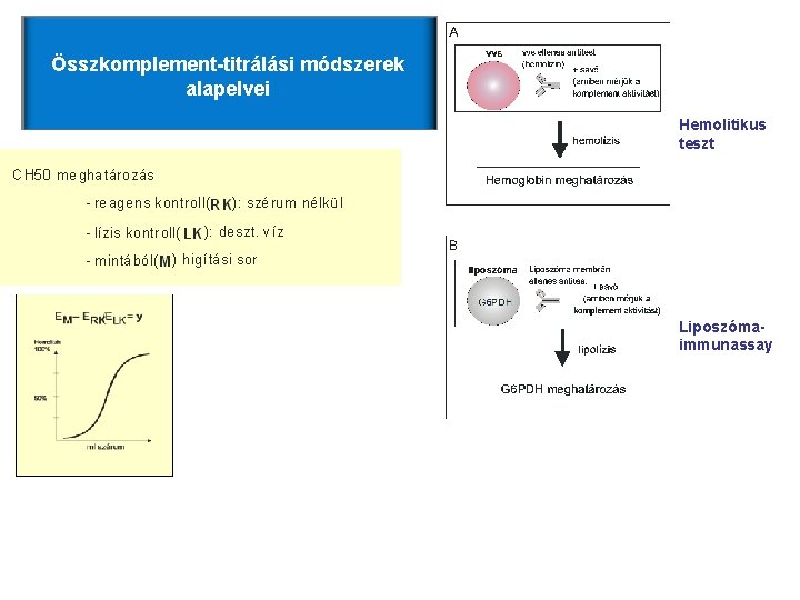Összkomplement-titrálási módszerek alapelvei Hemolitikus teszt Liposzómaimmunassay 11. 3. ábra A CH 50/ml érték kiszámítása Összkomplement-titrálási módszerek alapelvei Hemolitikus teszt Liposzómaimmunassay 11. 3. ábra A CH 50/ml érték kiszámítása