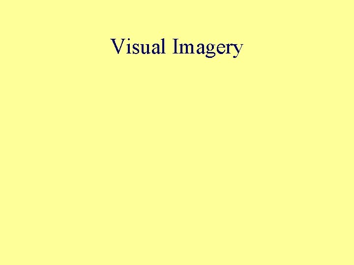 Visual Imagery 