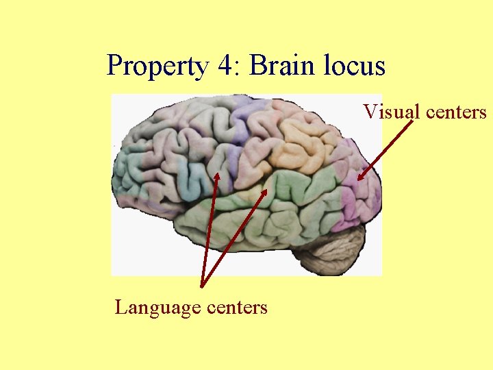 Property 4: Brain locus Visual centers Language centers 