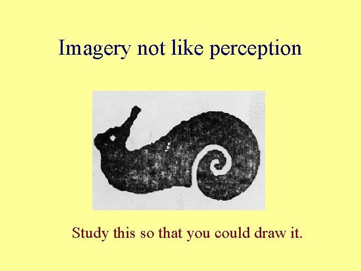 Imagery not like perception Study this so that you could draw it. 