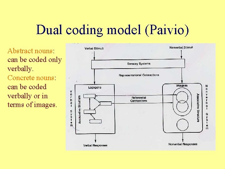 Dual coding model (Paivio) Abstract nouns: can be coded only verbally. Concrete nouns: can