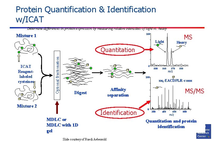 Protein Quantification & Identification w/ICAT Determine differences in protein expression by measuring relative intensities
