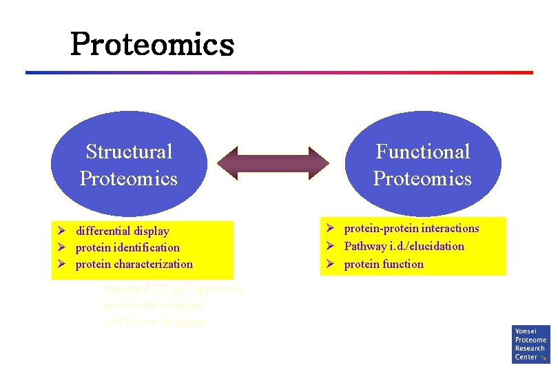 Proteomics Structural Proteomics Ø differential display Ø protein identification Ø protein characterization standard 2