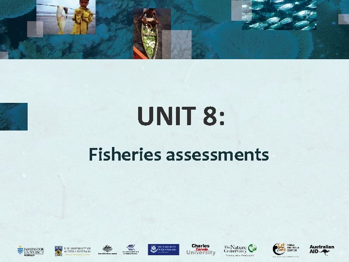 UNIT 8: Fisheries assessments 