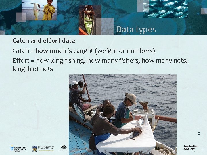Data types Catch and effort data Catch = how much is caught (weight or