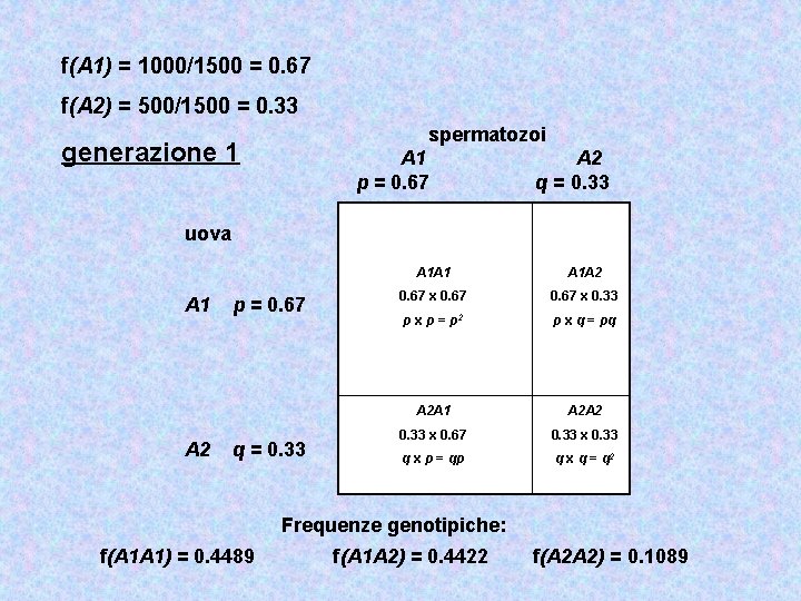 f(A 1) = 1000/1500 = 0. 67 f(A 2) = 500/1500 = 0. 33