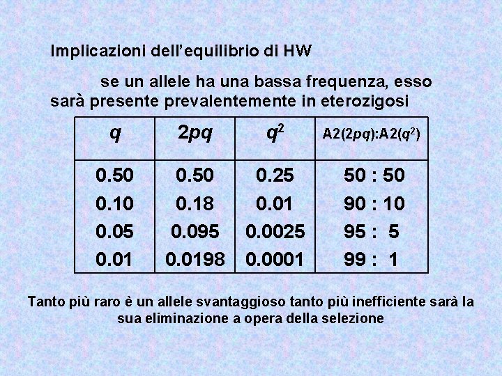 Implicazioni dell’equilibrio di HW se un allele ha una bassa frequenza, esso sarà presente