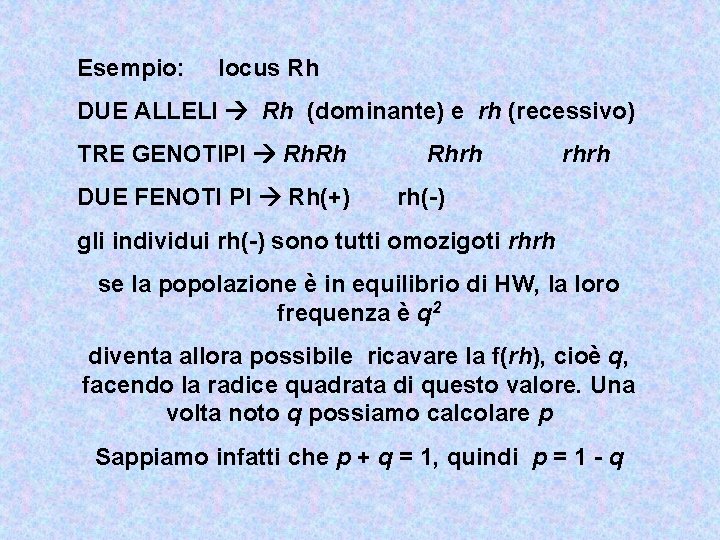 Esempio: locus Rh DUE ALLELI Rh (dominante) e rh (recessivo) TRE GENOTIPI Rh. Rh